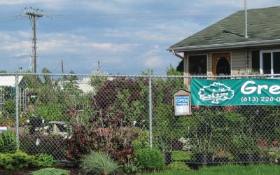 Supporting Local:  Green Thumb Garden Centre