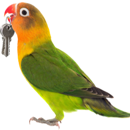 Planning a move in Ottawa